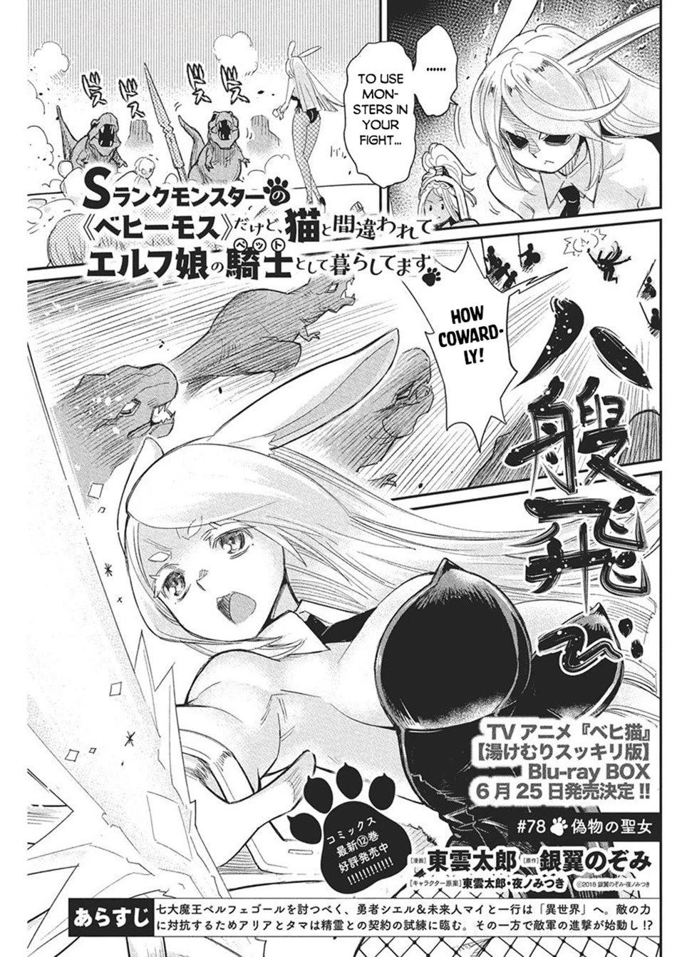 I Am Behemoth Of The S Rank Monster But I Am Mistaken As A Cat And I Live As A Pet Of Elf Girl Chapter 78 page 2 - Chapter 78