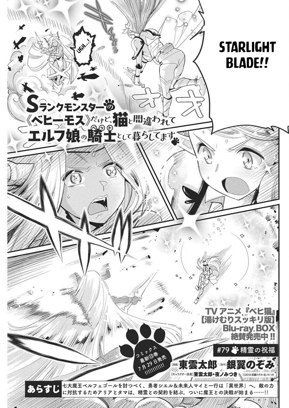 I Am Behemoth Of The S Rank Monster But I Am Mistaken As A Cat And I Live As A Pet Of Elf Girl Chapter 79 page 2 - Chapter 79