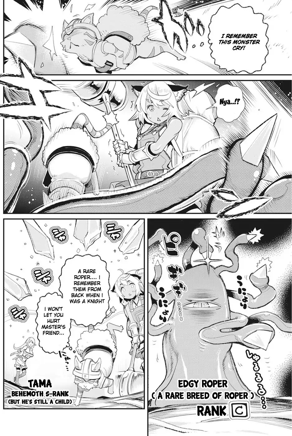 I Am Behemoth Of The S Rank Monster But I Am Mistaken As A Cat And I Live As A Pet Of Elf Girl Chapter 8 page 10 - Chapter 8: A Knight's Calling