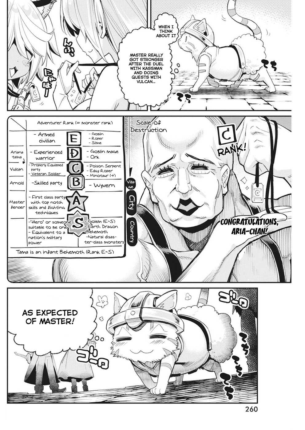 I Am Behemoth Of The S Rank Monster But I Am Mistaken As A Cat And I Live As A Pet Of Elf Girl Chapter 9 page 16 - Chapter 9 - A noble girl