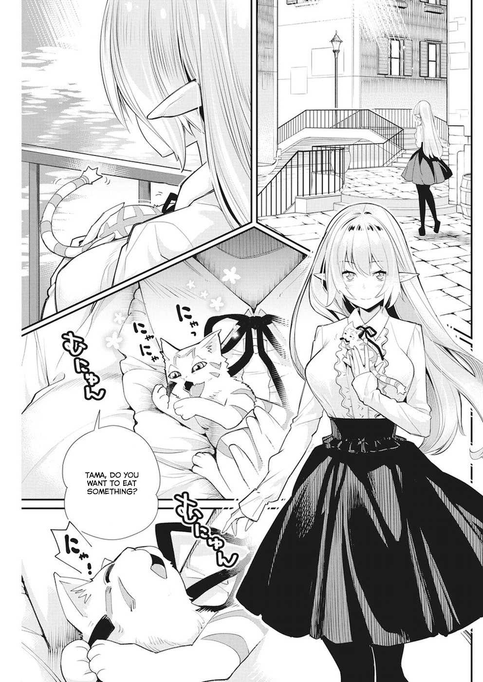 I Am Behemoth Of The S Rank Monster But I Am Mistaken As A Cat And I Live As A Pet Of Elf Girl Chapter 9 page 2 - Chapter 9 - A noble girl