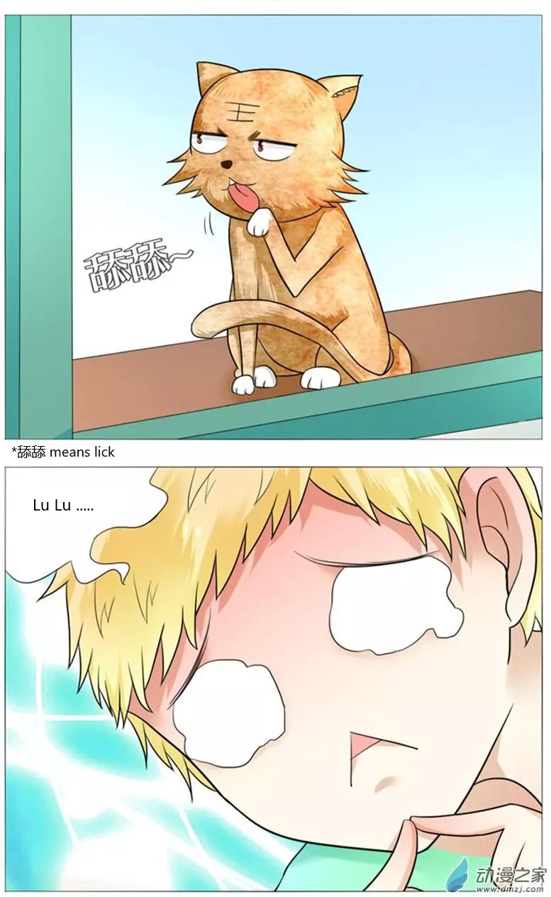 I Am My Wife Chapter 50 page 12 - Chapter 50