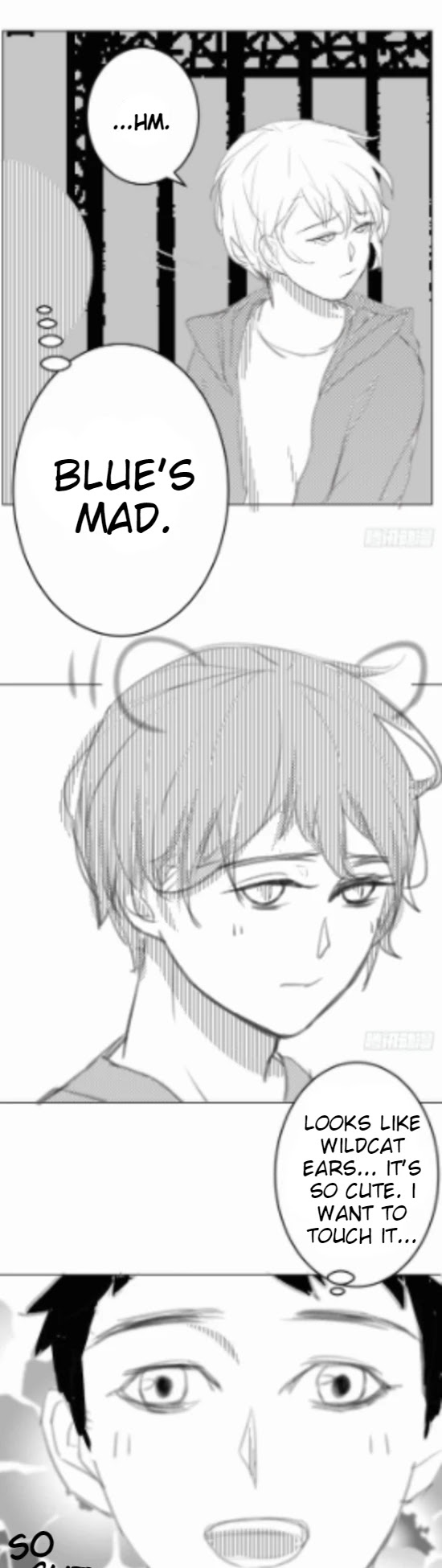 I Am My Wife Chapter 60.5 page 5 - Chapter 60.5: Special