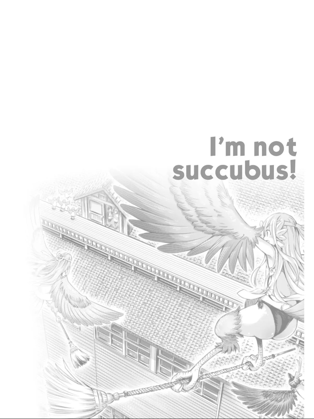 I Am Not A Succubus! Chapter 10 page 36 - Chapter 10: Leave the Spider Web Until After the Cleaning