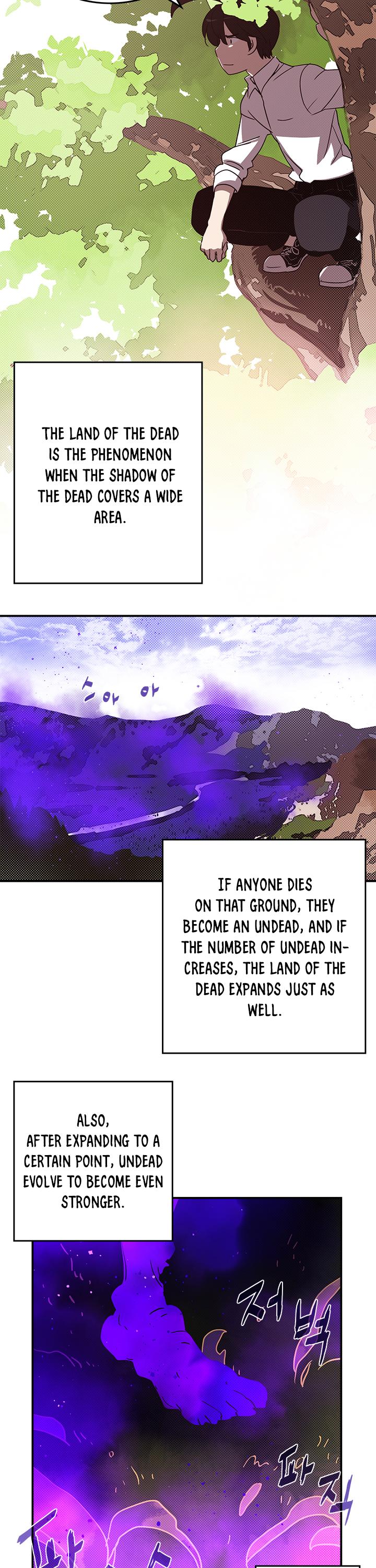 I Am The Sorcerer King Chapter 66 page 19 - Chapter 66