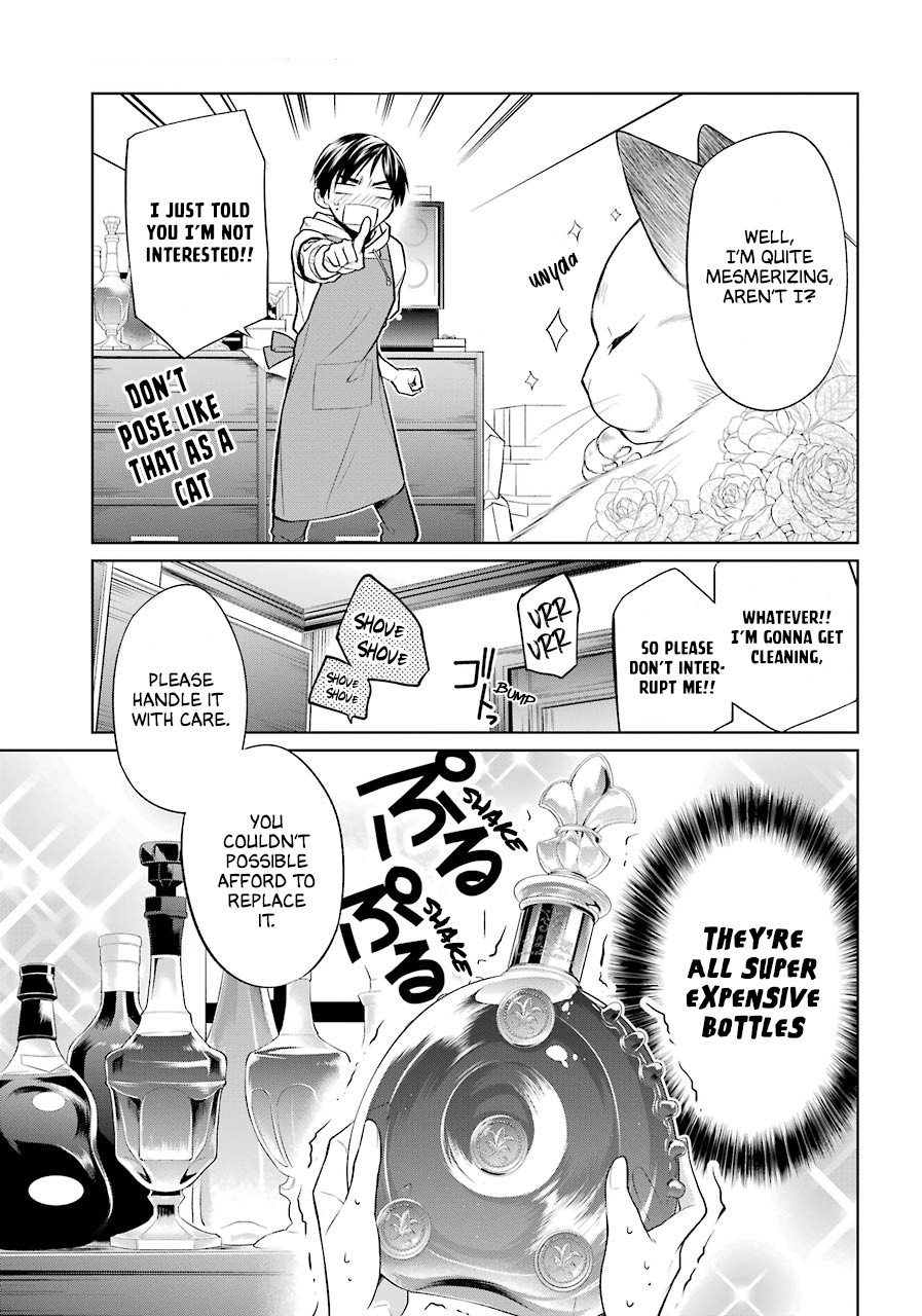 I Am Their Catships' Catservant Chapter 1 page 34 - Chapter 1