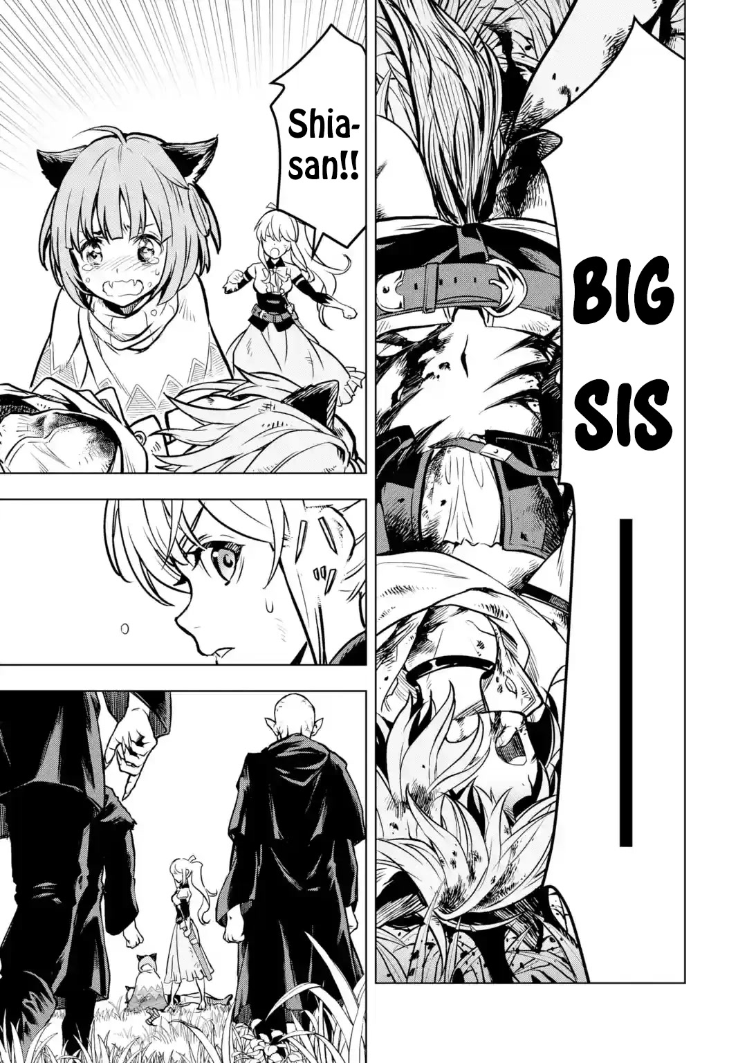 I Became a Legend a Decade Later After Telling My Comrades to Leave Everything to Me and Retreat First Chapter 25 page 51 - Chapter 25: Royal Capital Attack