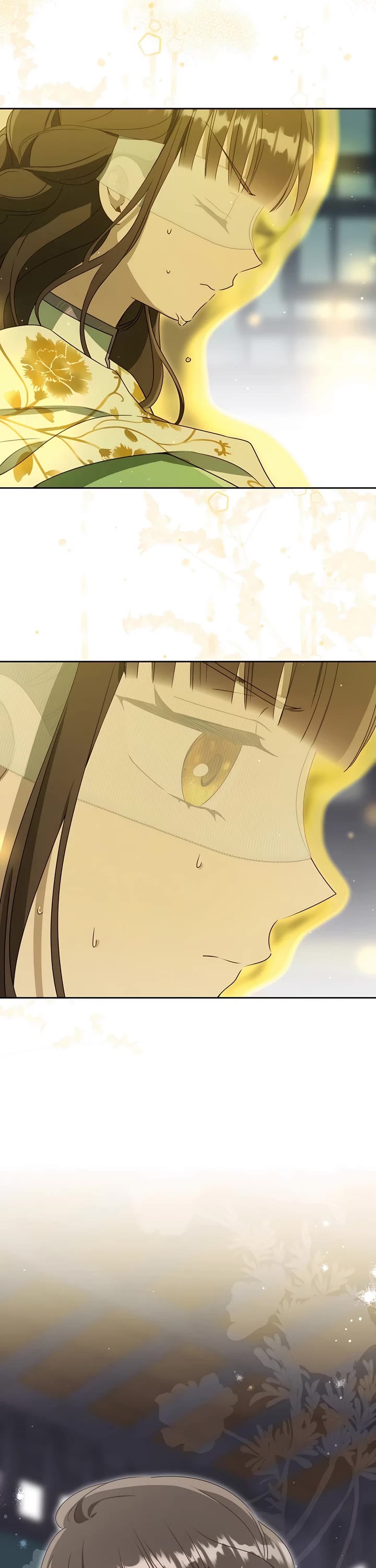 I Became the Despised Granddaughter of the Murim Family Chapter 85 page 45 - Chapter 85