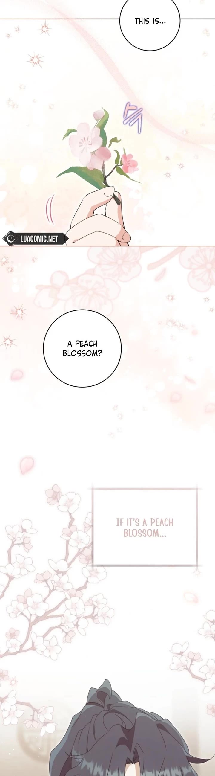 I Became the Despised Granddaughter of the Murim Family Chapter 96 page 12 - Chapter 96