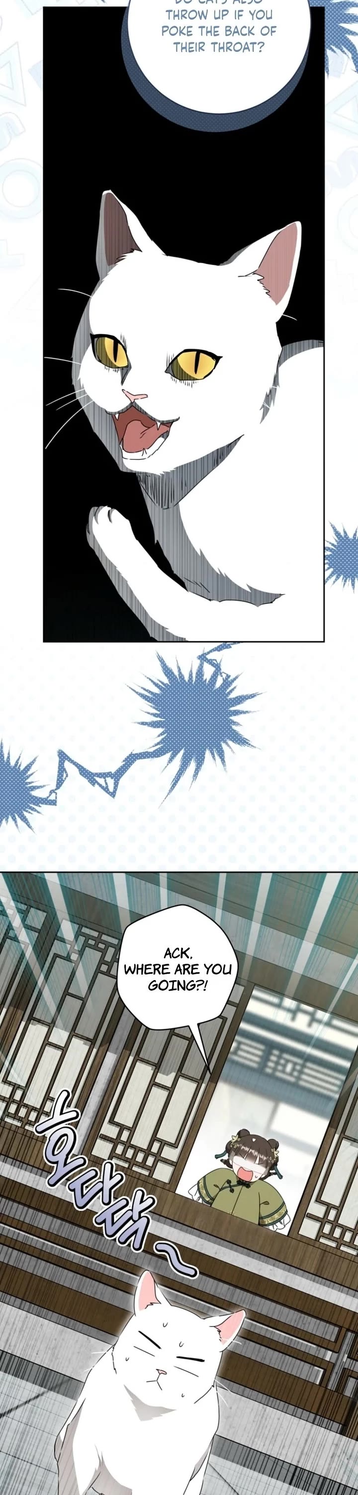 I Became the Despised Granddaughter of the Murim Family Chapter 96 page 20 - Chapter 96