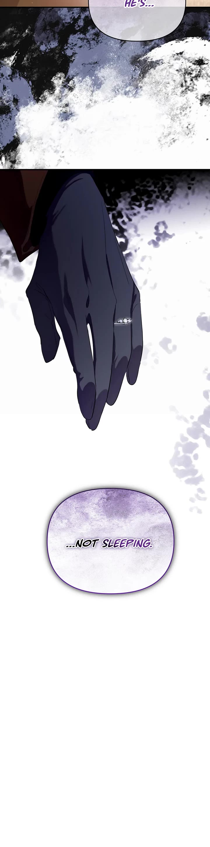 I Became the Hero's Mom Chapter 117 page 49 - Chapter 117: Secrets