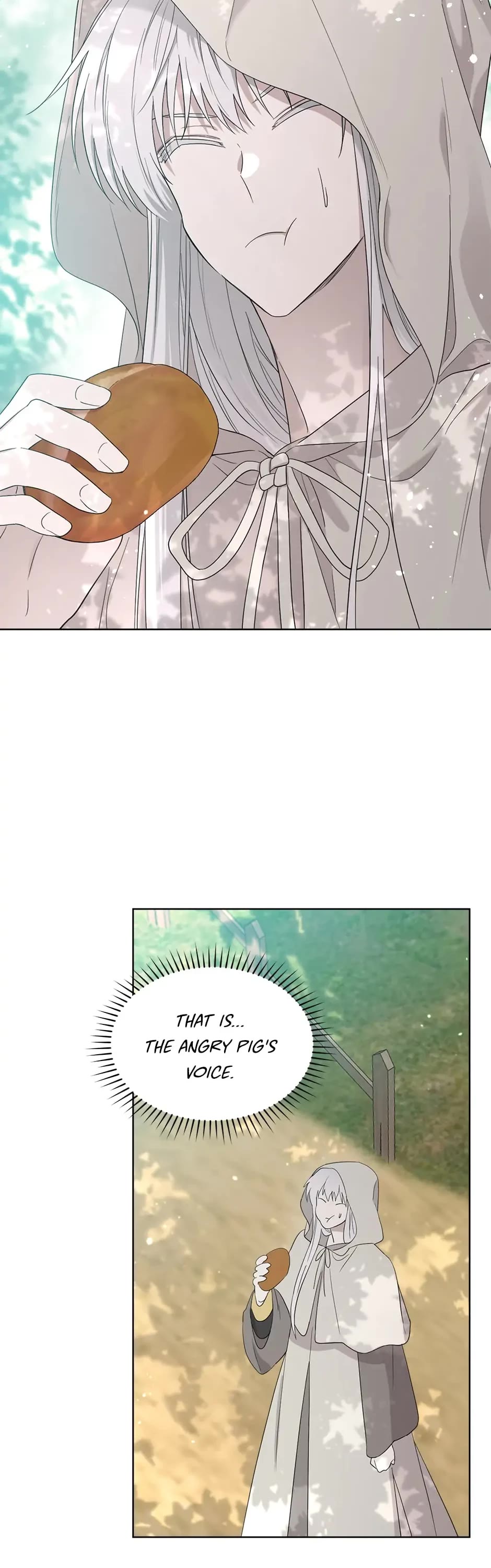 I Became the Hero's Mom Chapter 78 page 2 - Chapter 78: In My Next Life