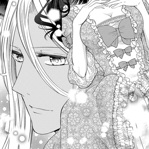I Became the Mother of the Strongest Demon Lord's 10 Children in Another World. Chapter 26: I made a wish on a bed of stars. cover