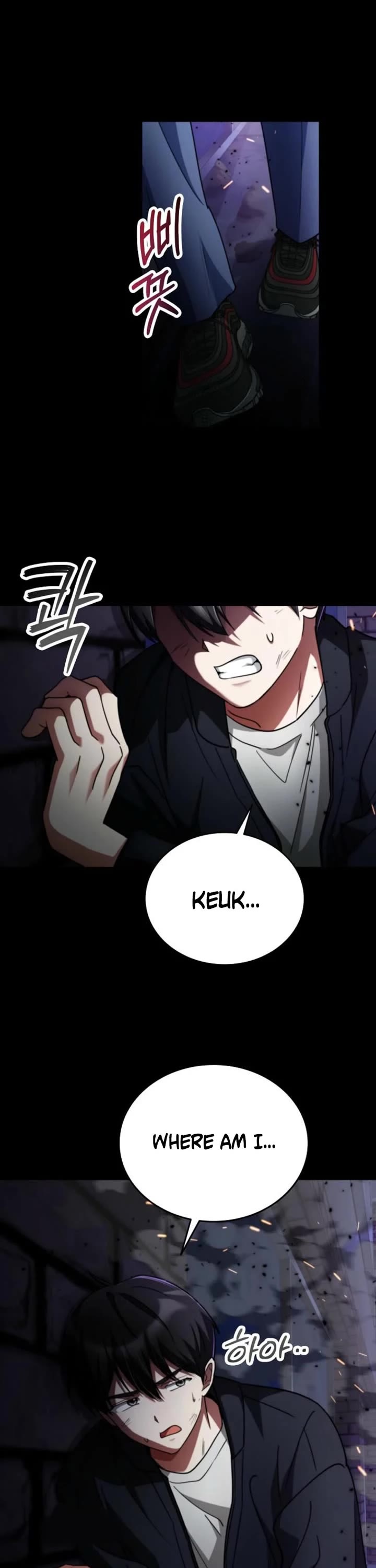 I Became The Villain The Hero Is Obsessed With Chapter 1 page 70 - Chapter 1