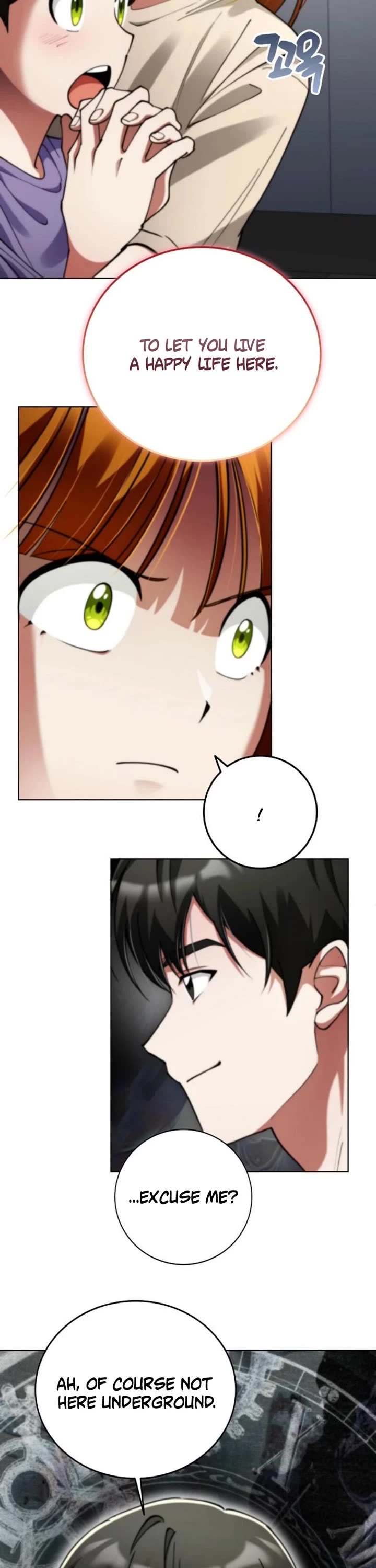 I Became The Villain The Hero Is Obsessed With Chapter 20 page 23 - Chapter 20