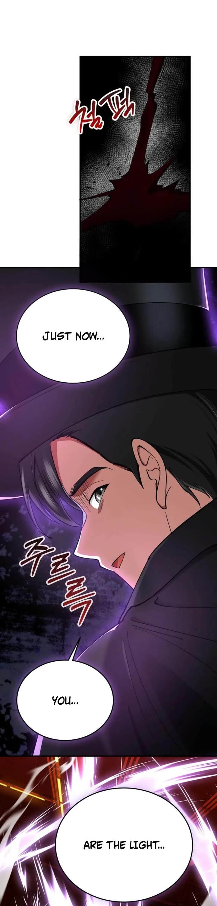 I Became The Villain The Hero Is Obsessed With Chapter 29 page 51 - Chapter 29