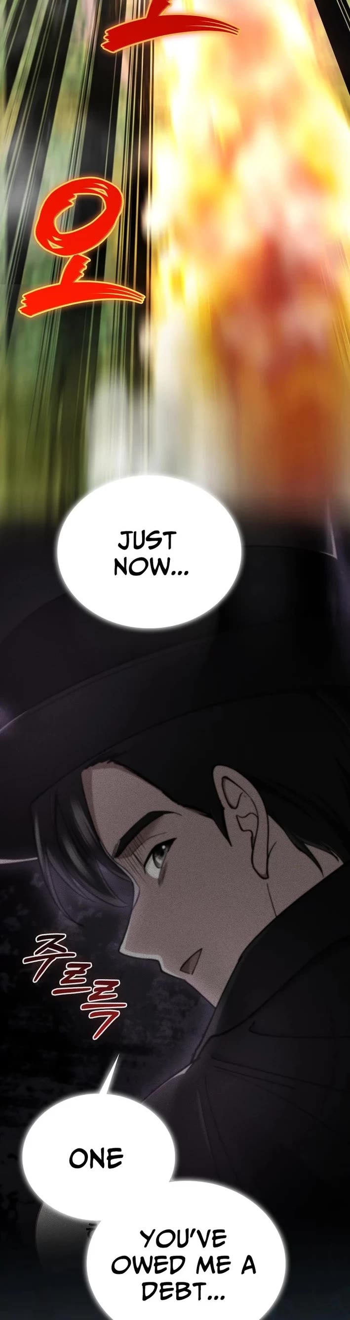 I Became The Villain The Hero Is Obsessed With Chapter 37 page 3 - Chapter 37