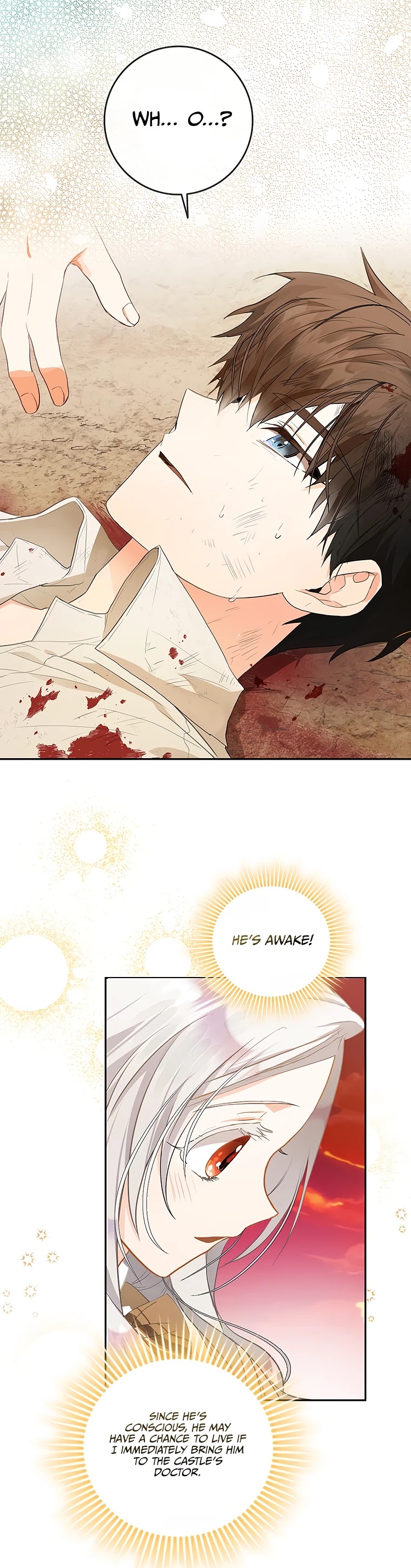 I Became the Wife of the Male Lead Chapter 5 page 15 - Chapter 5