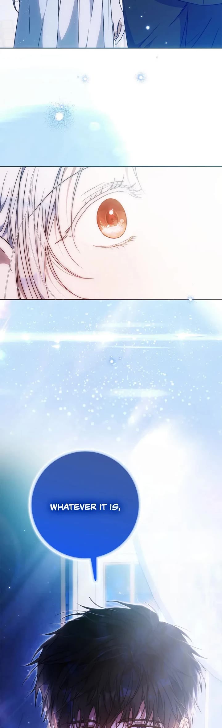 I Became the Wife of the Male Lead Chapter 95 page 15 - Chapter 95: S3 End