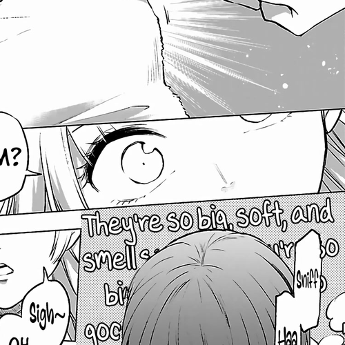 I Can't Take My Eyes Off Boobs Even in Another World! Chapter 6: The Demon Queen, I’m Patient! - Hino Haruto cover