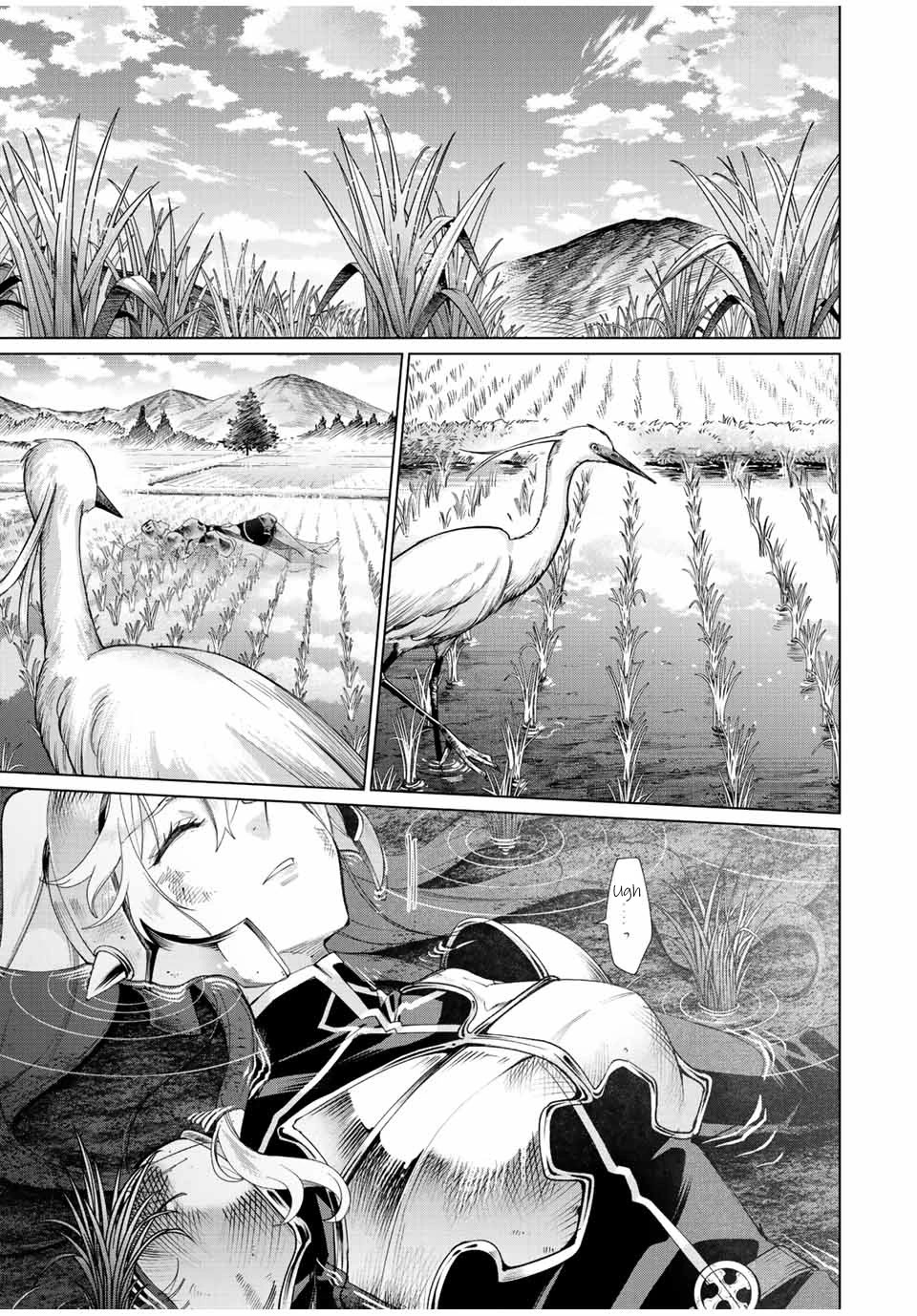 I Found a Female Knight in a Rice Field, in the Countryside They Think She’s My Wife Chapter 1 page 3 - Chapter 1: I Found a Female Knight in the Rice Field