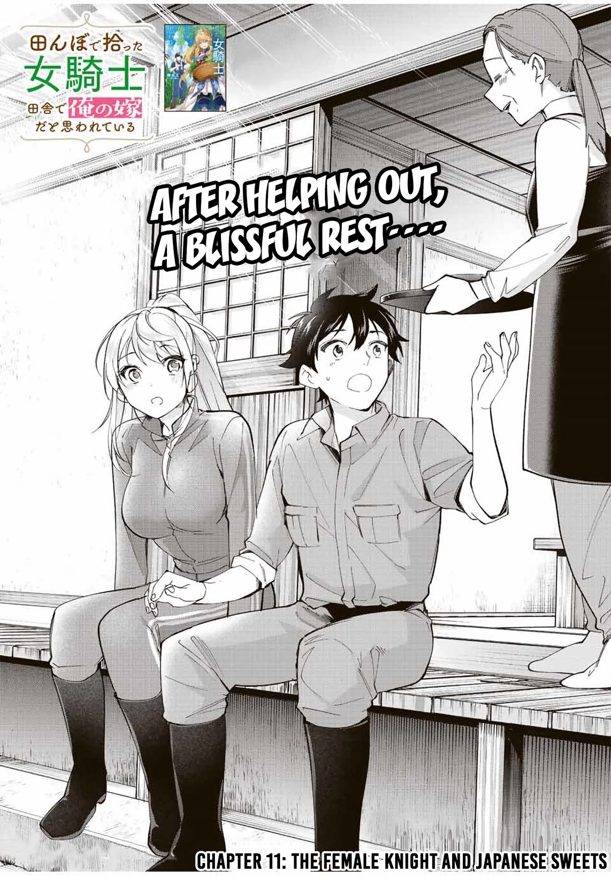 I Found a Female Knight in a Rice Field, in the Countryside They Think She’s My Wife Chapter 11 page 3 - Chapter 11: The Female Knight and Japanese Sweets