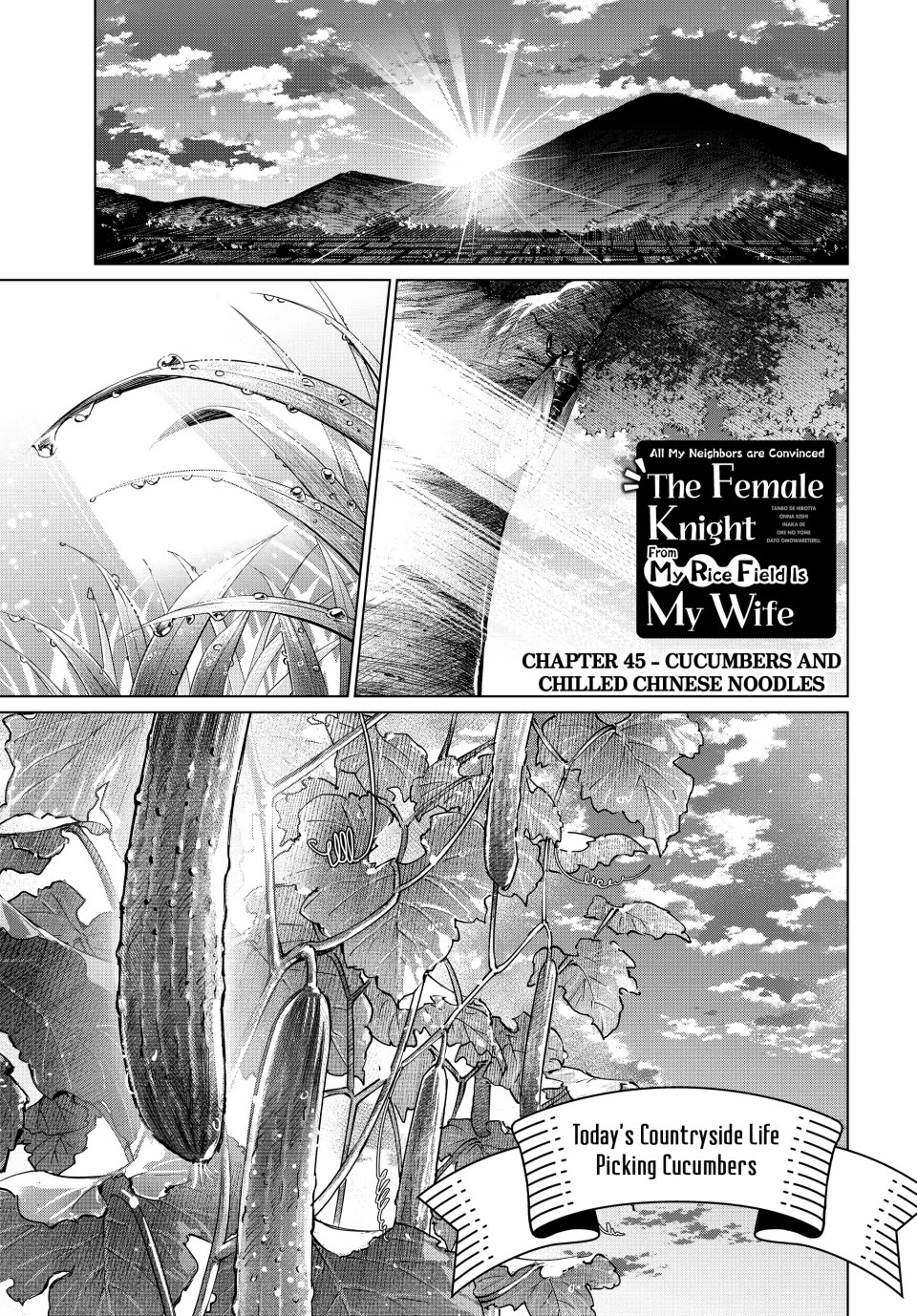 I Found a Female Knight in a Rice Field, in the Countryside They Think She’s My Wife Chapter 45 page 1 - Chapter 45
