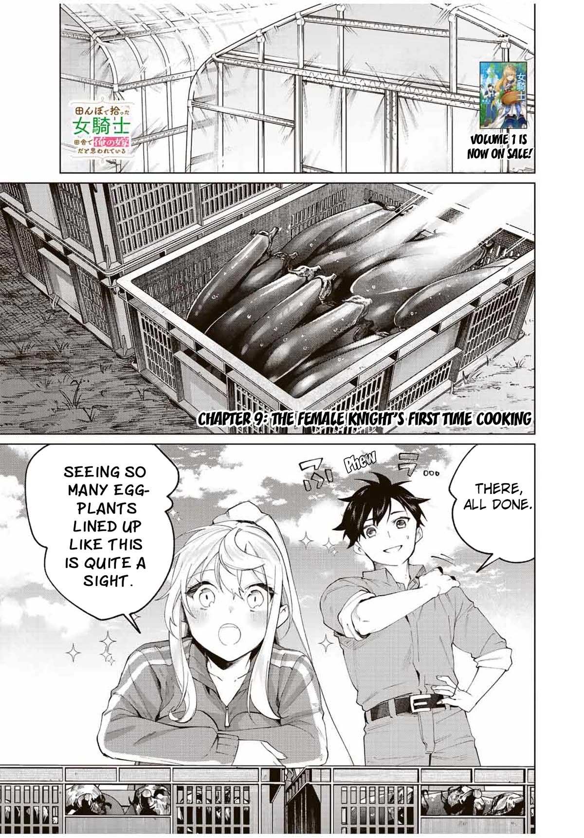 I Found a Female Knight in a Rice Field, in the Countryside They Think She’s My Wife Chapter 9 page 1 - Chapter 9: The Female Knight's First Time Cooking
