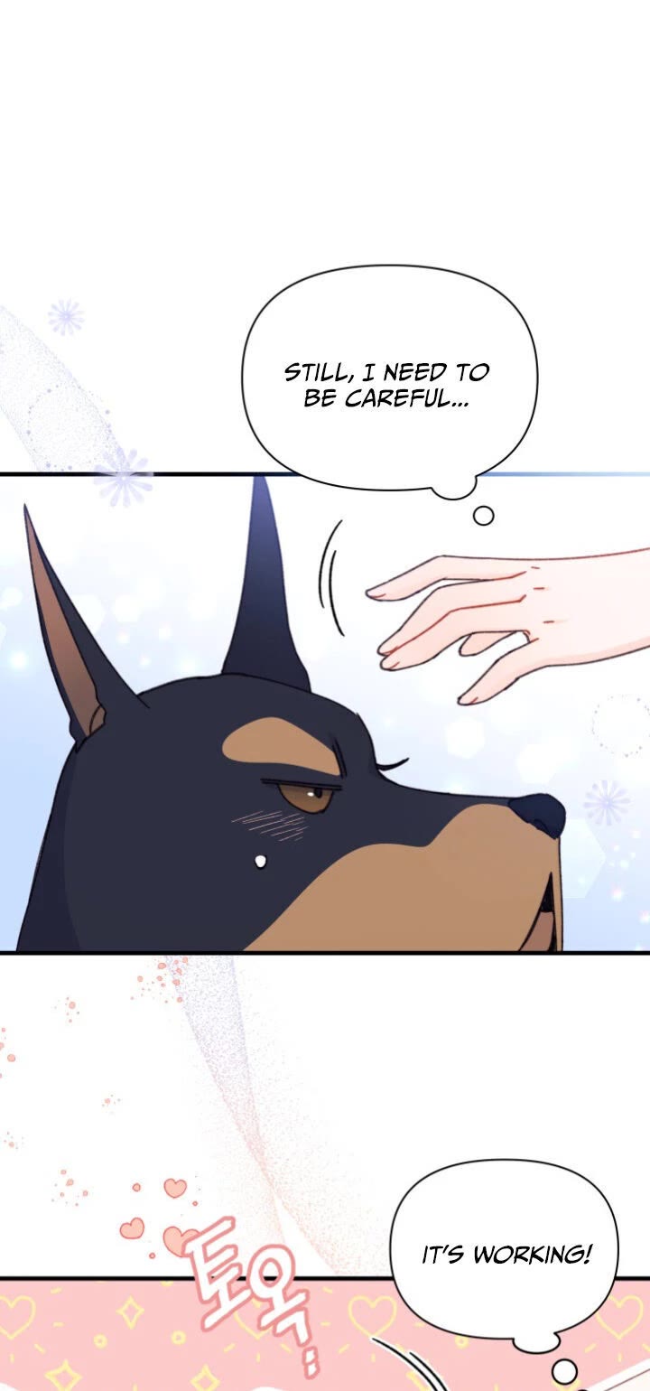 I Found a Husband When I Picked Up the Male Lead Chapter 20 page 25 - Chapter 20