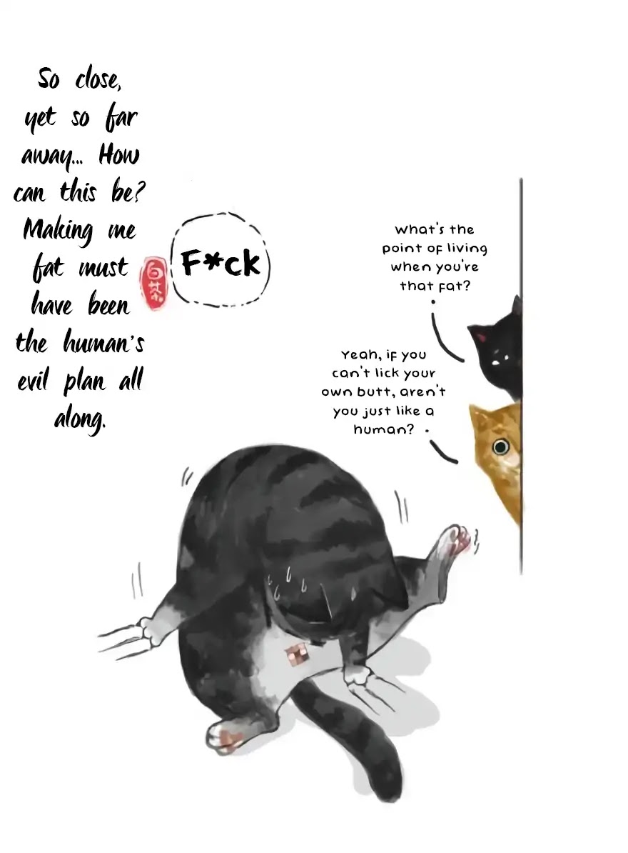 I Like How You Hate Me but Can't Get Rid of Me Chapter 1 page 6 - Chapter 1
