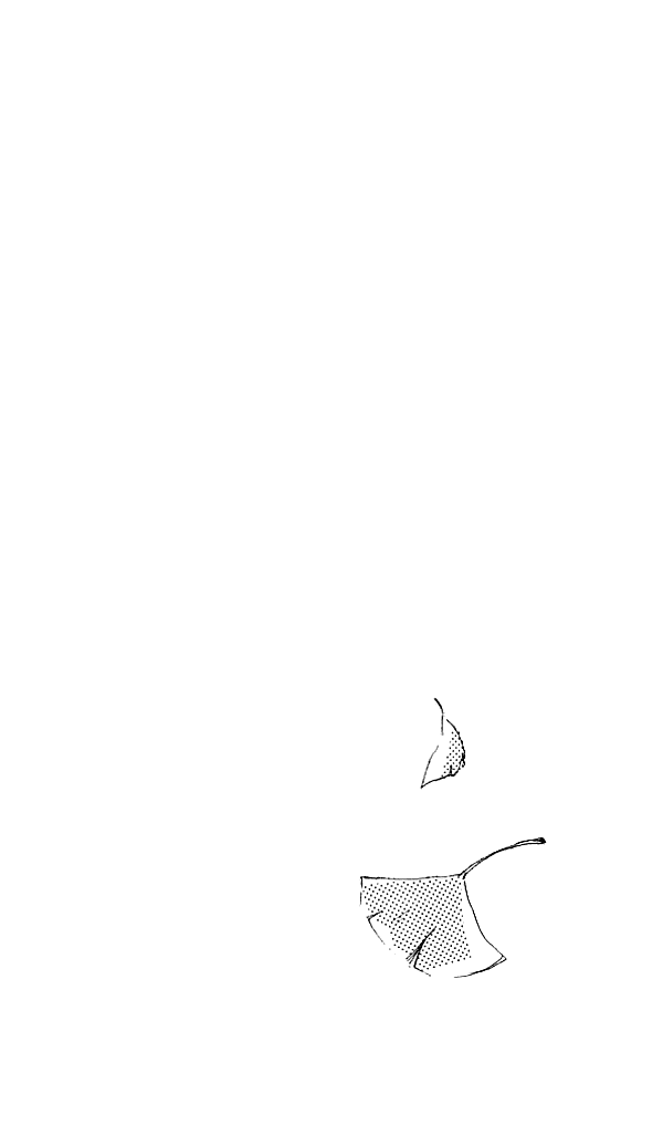 I Love Her Chapter 1 page 52 - Chapter 1