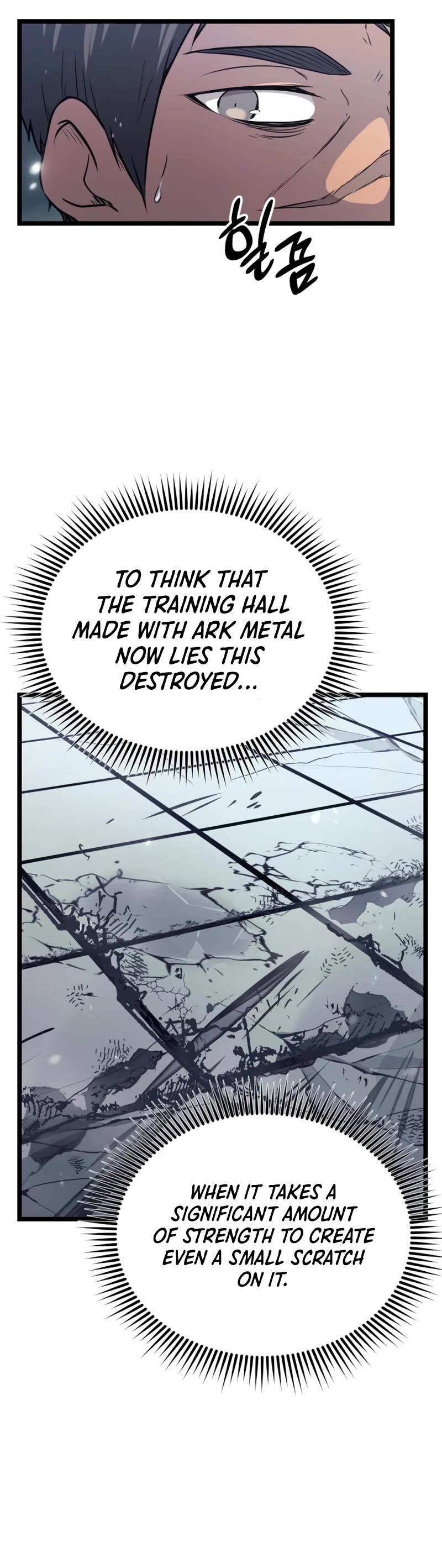 I Obtained a Mythic Item Chapter 17 page 25 - Chapter 17