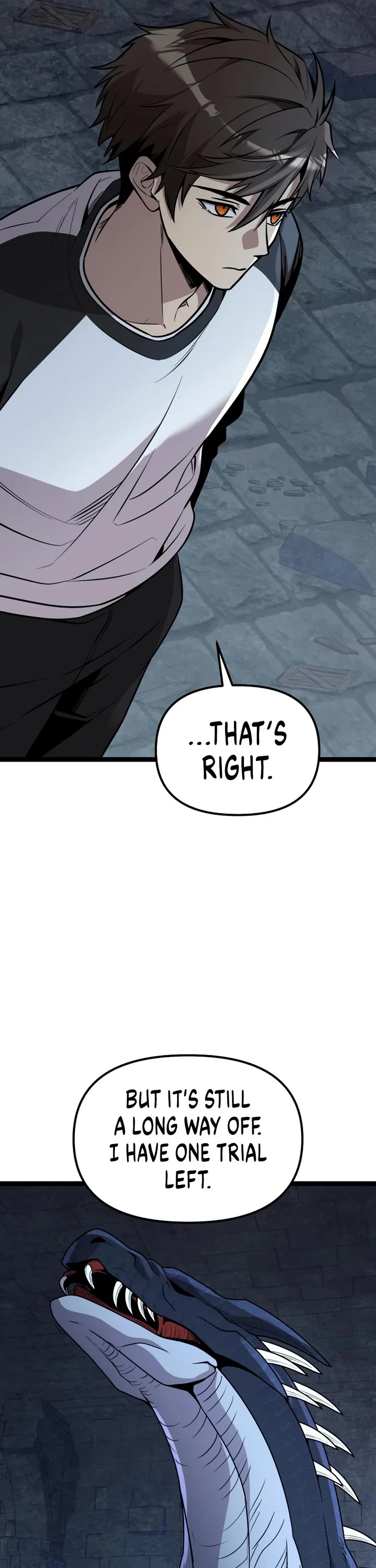 I Obtained a Mythic Item Chapter 177 page 29 - Chapter 177