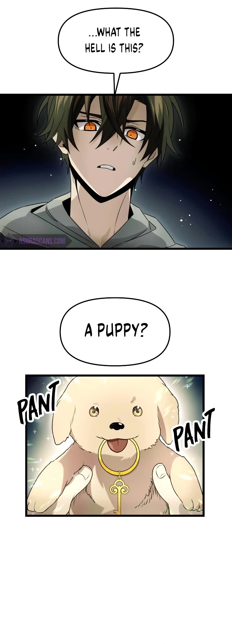 I Obtained a Mythic Item Chapter 45 page 13 - Chapter 45