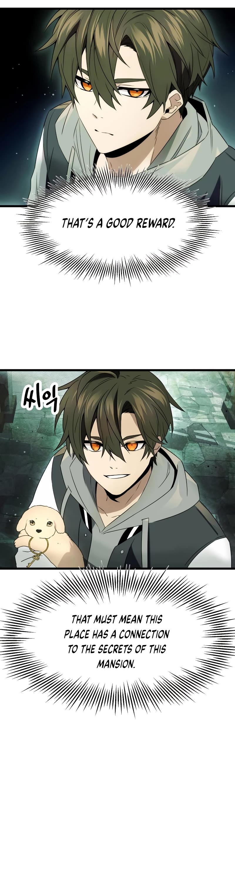 I Obtained a Mythic Item Chapter 45 page 17 - Chapter 45