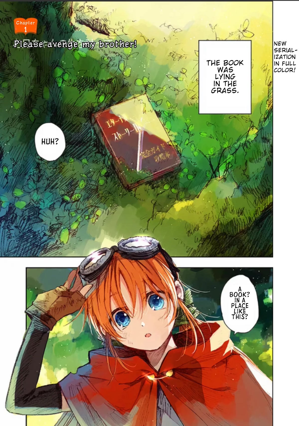 I Picked Up This World's Strategy Guide! Chapter 1 page 2 - Chapter 1: Please Avenge My Brother!