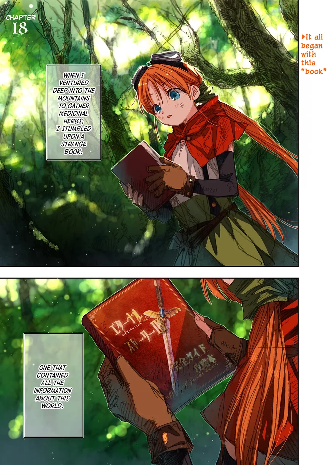 I Picked Up This World's Strategy Guide! Chapter 18 page 1 - Chapter 18: Arcane Trap