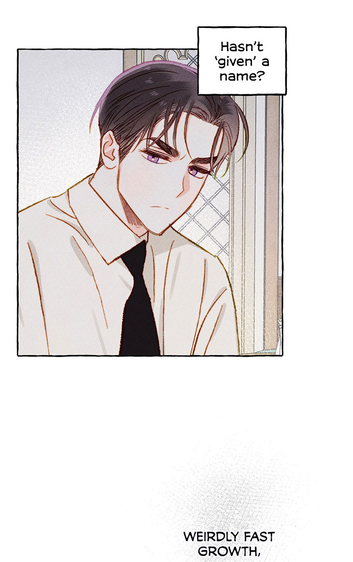 I Raised A Black Dragon Chapter 5 page 17 - Chapter 5