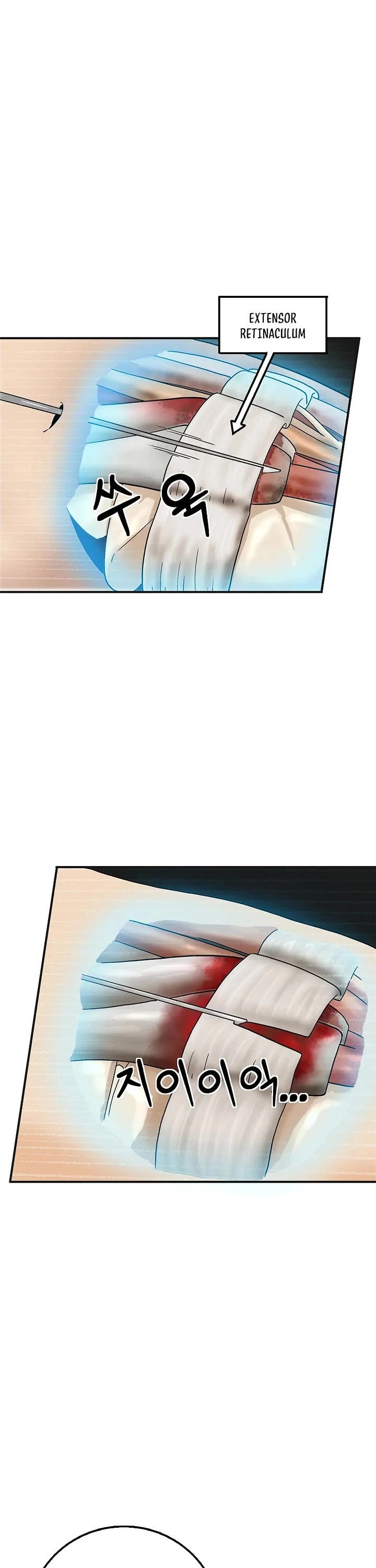 I Reincarnated as a Legendary Surgeon Chapter 206 page 12 - Chapter 206