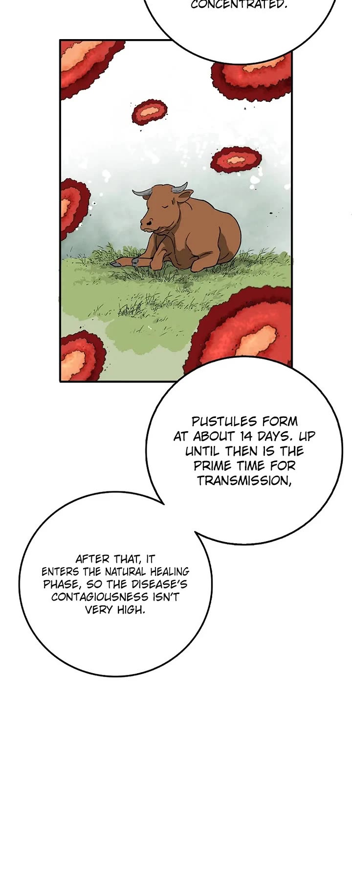 I Reincarnated as a Legendary Surgeon Chapter 219 page 15 - Chapter 219