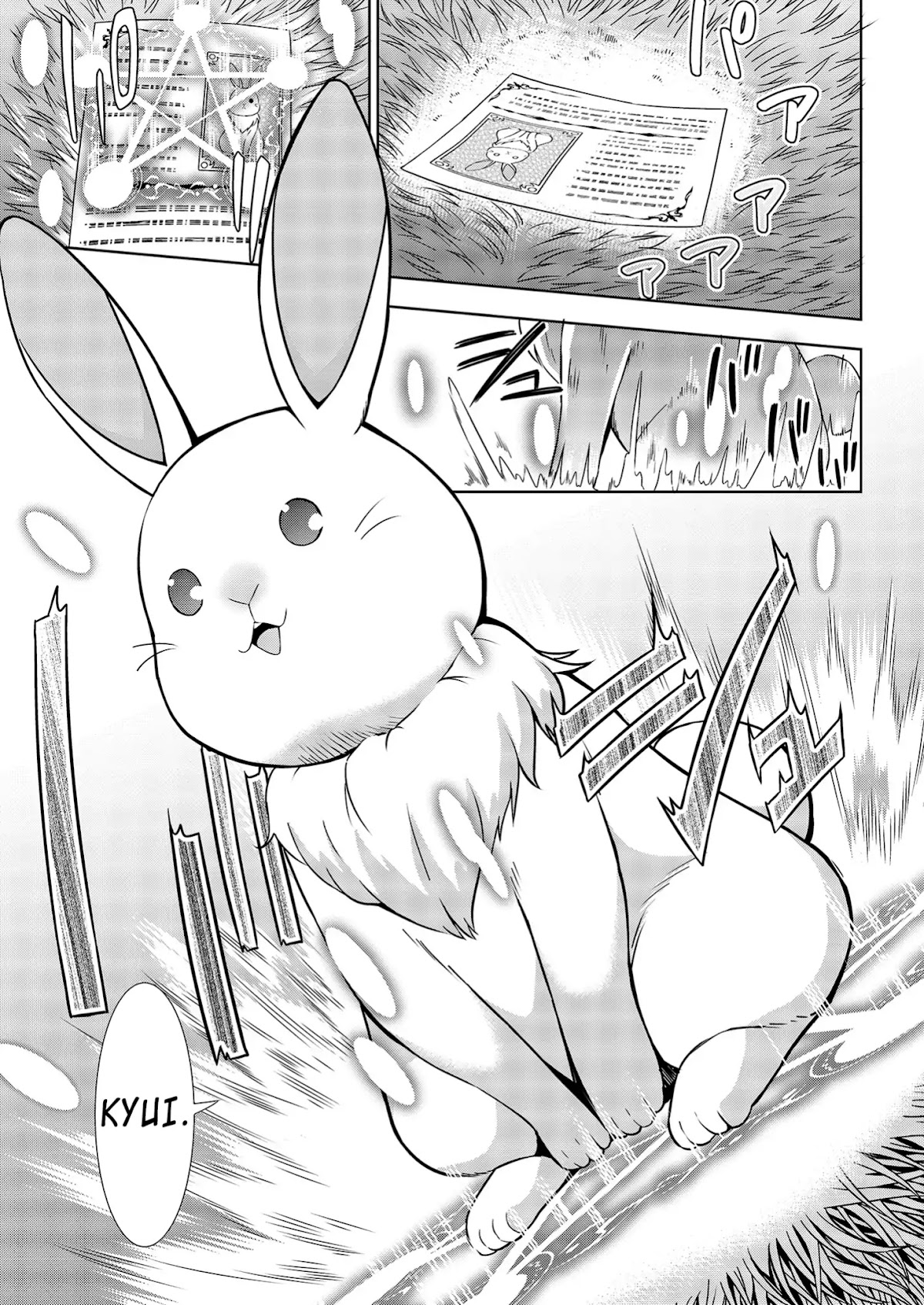 I Started As Summoner In VRMMO Chapter 1 page 17 - Chapter 1: 1st Summon: I became a summoner!