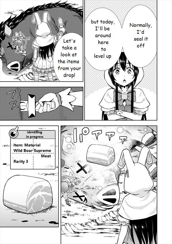 I Started As Summoner In VRMMO Chapter 19 page 17 - Chapter 19