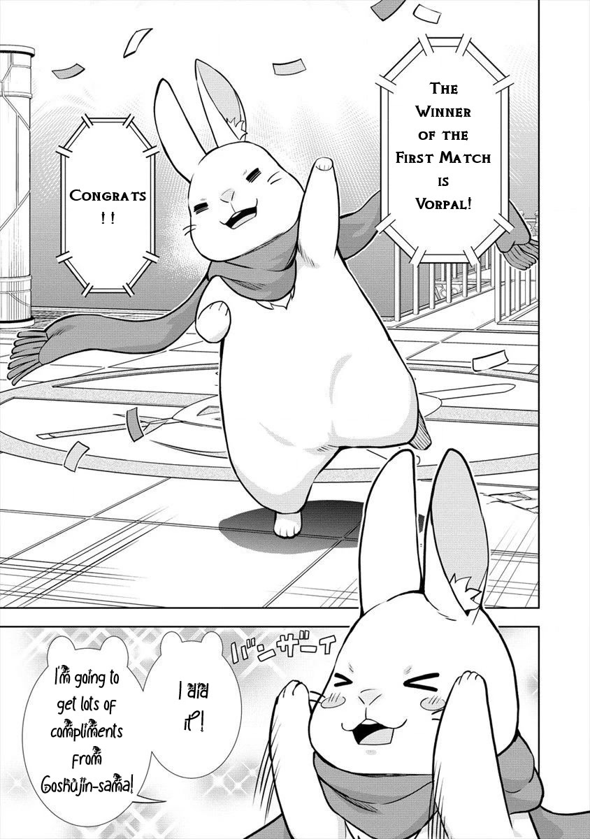 I Started As Summoner In VRMMO Chapter 26 page 10 - Chapter 26: Rabbit, it's Settled!