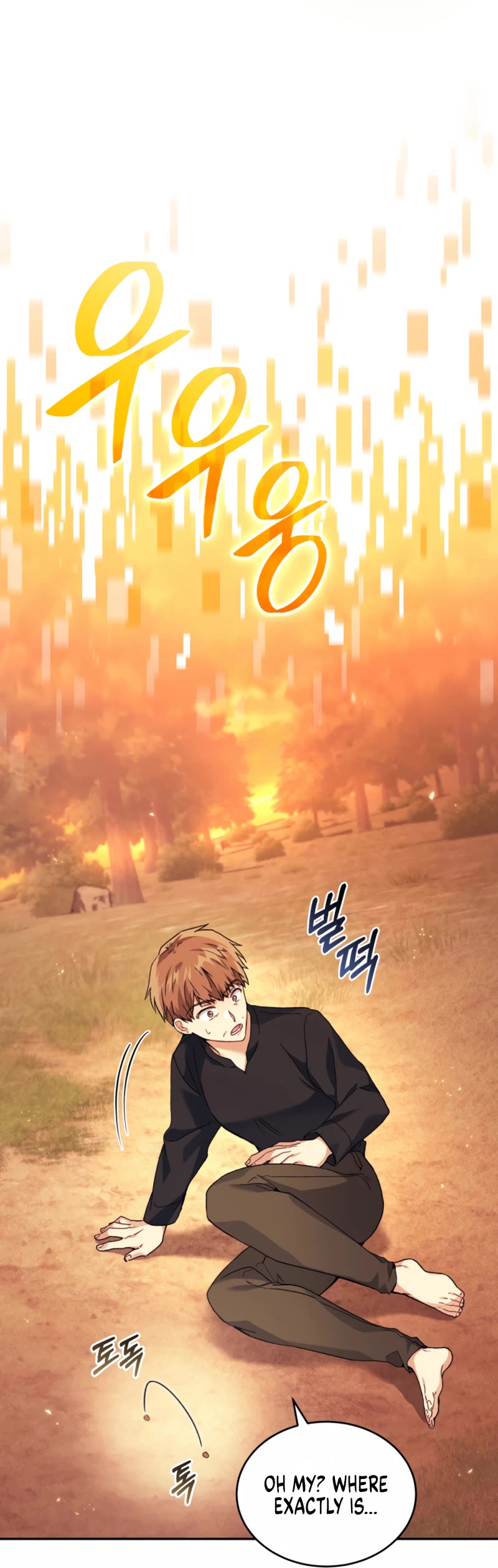 I Stole the Number One Ranker's Soul Chapter 40 page 28 - Chapter 40