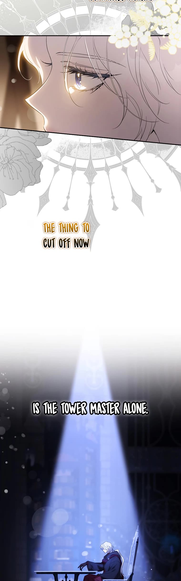 I Tamed a Tyrant and Ran Away Chapter 100 page 24 - Chapter 100