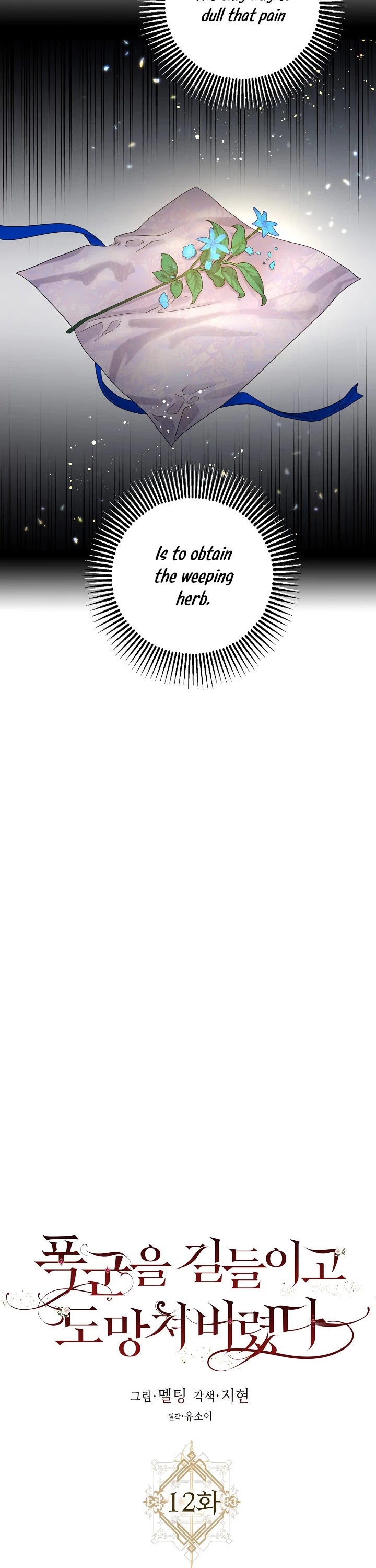 I Tamed a Tyrant and Ran Away Chapter 12 page 14 - Chapter 12
