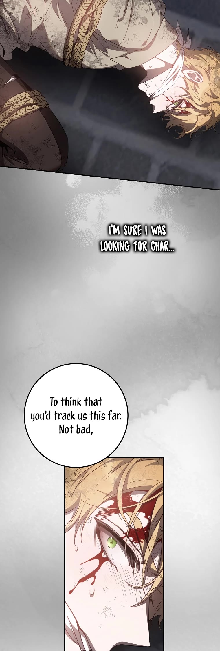 I Tamed a Tyrant and Ran Away Chapter 94 page 26 - Chapter 94