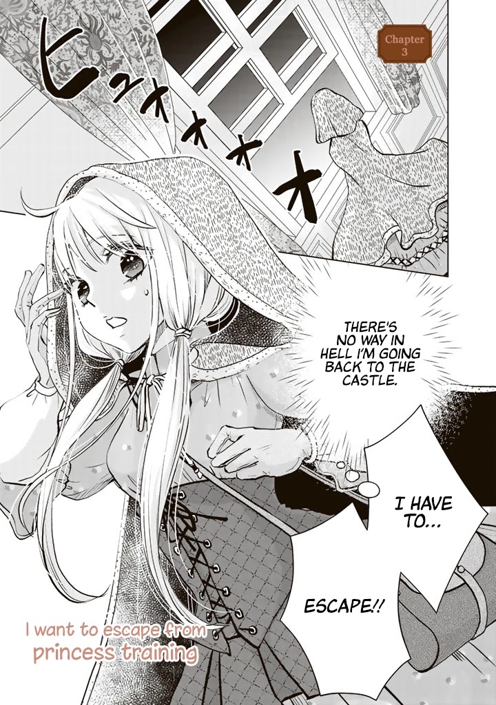 I Want to Escape From Princess Education Chapter 3 page 2 - Chapter 3