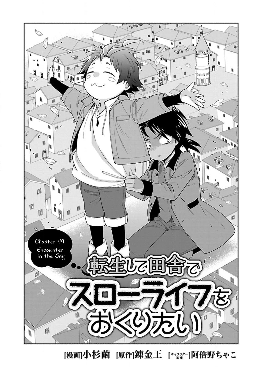 I Want to Live a Slow Life in the Countryside After Reincarnation Chapter 49 page 2 - Chapter 49: Encounter in the Sky