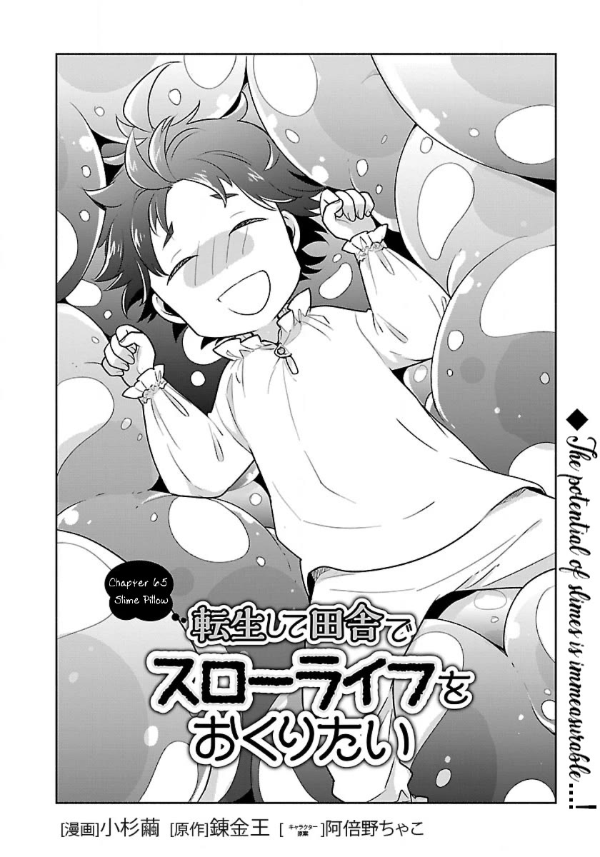 I Want to Live a Slow Life in the Countryside After Reincarnation Chapter 65 page 2 - Chapter 65: Slime Pillow